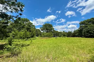 5982 Doe Trail, Gilmer, TX 75645 - Photo 36