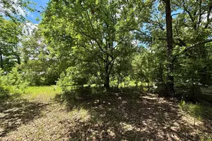 5982 Doe Trail, Gilmer, TX 75645 - Photo 32