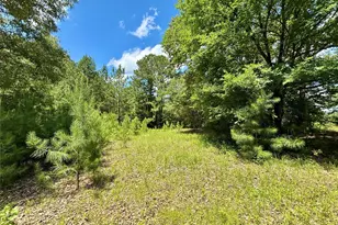 5982 Doe Trail, Gilmer, TX 75645 - Photo 34