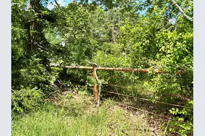 5982 Doe Trail, Gilmer, TX 75645 - Photo 4