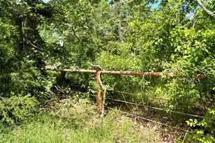 5982 Doe Trail, Gilmer, TX 75645 - Photo 4