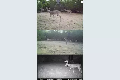 3311 County Road 1035, Meridian, TX 76665 - Photo 38