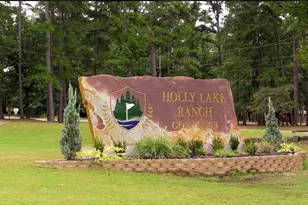 176 Woodside Ln, Holly Lake Ranch, TX 75765 - Photo 22