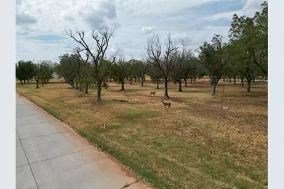 1313 Cirrus Loop, Granbury, TX 76049 - Photo 4