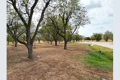 1313 Cirrus Loop, Granbury, TX 76049 - Photo 16