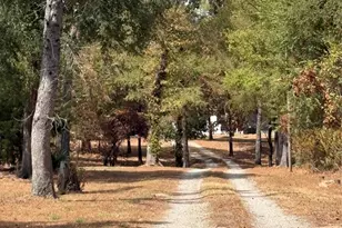 927 Indian Gap, Quitman, TX 75783 - Photo 32