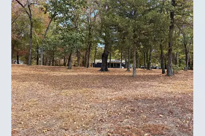 927 Indian Gap, Quitman, TX 75783 - Photo 12