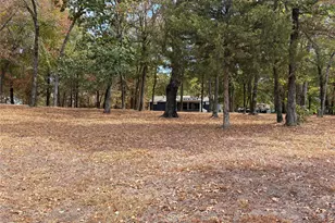 927 Indian Gap, Quitman, TX 75783 - Photo 12