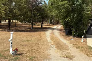 927 Indian Gap, Quitman, TX 75783 - Photo 34