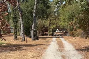 927 Indian Gap, Quitman, TX 75783 - Photo 36
