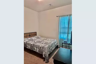 31610 Brown Fern Drive, Fulshear, TX 77441 - Photo 8