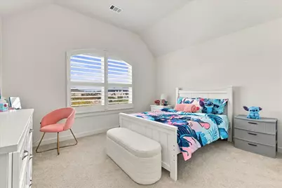 3904 Composition Drive, Celina, TX 75078 - Photo 6