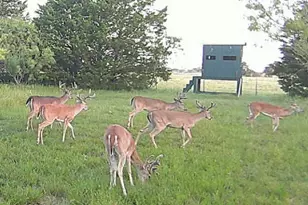 315 County Road 2240, Kerens, TX 75144 - Photo 32