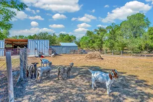 3287 Rosenthal Pkwy, Lorena, TX 76655 - Photo 30