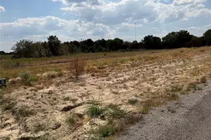 Lot 1 Co Rd 1110, Farmersville, TX 75442 - Photo 1