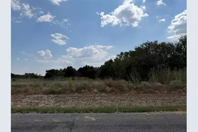 Lot 4 Co Rd 1110, Farmersville, TX 75442 - Photo 1