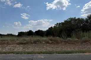 Lot 4 Co Rd 1110, Farmersville, TX 75442 - Photo 1