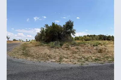 Lot 6 Co Rd 1110, Farmersville, TX 75442 - Photo 2