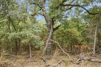 Tbd Fm-1476, Dublin, TX 76446 - Photo 34