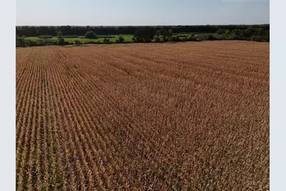 0026 Fm 198, Enloe, TX 75441 - Photo 8