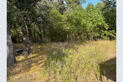 3744 NW County Road 3112, Purdon, TX 76679 - Photo 4