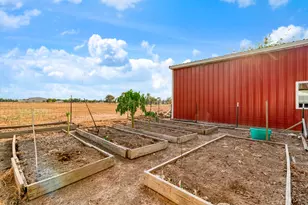 209 Farm Road 2352, Honey Grove, TX 75446 - Photo 20