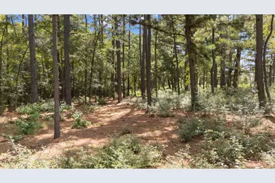 Tract 4 Fm 1002, Big Sandy, TX 75755 - Photo 2