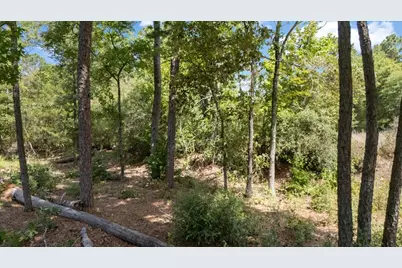 Tract 4 Fm 1002, Big Sandy, TX 75755 - Photo 4
