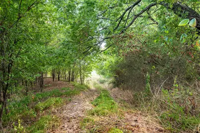 31Acs Fm 1564, Caddo Mills, TX 75135 - Photo 4