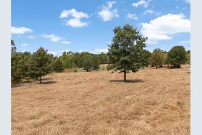 Tbd Silk Tree Road, Gilmer, TX 75645 - Photo 4