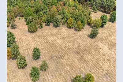 Tbd Silk Tree Road, Gilmer, TX 75645 - Photo 6