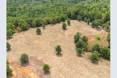 Tbd Silk Tree Road, Gilmer, TX 75645 - Photo 2