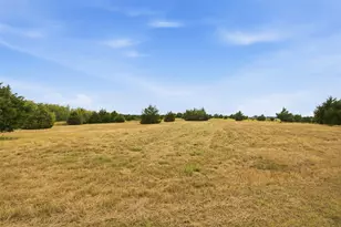5541 Co Rd 1130, Farmersville, TX 75442 - Photo 34
