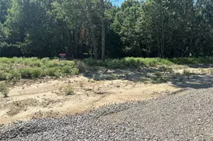 Lot 12 County Road 1110, Farmersville, TX 75442 - Photo 1