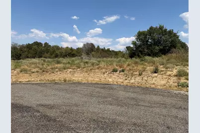 Lot 14 County Road 1110, Farmersville, TX 75442 - Photo 2