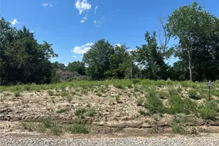Lot 15 Co Rd 1110, Farmersville, TX 75442 - Photo 1