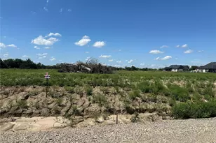 Lot 16 County Road 1110, Farmersville, TX 75442 - Photo 1