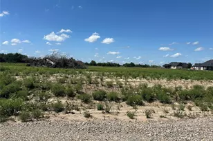 Lot 18 County Road 1110, Farmersville, TX 75442 - Photo 1