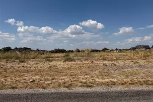 Lot 19 Co Rd 1110, Farmersville, TX 75442 - Photo 1