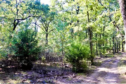 800 Trosper Trace, Quinlan, TX 75474 - Photo 1