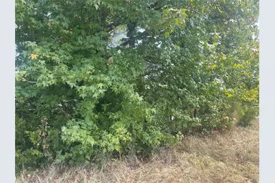 Lot 7 County Road 1560, Alba, TX 75410 - Photo 10