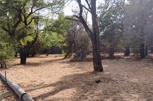 909 Live Oak St, Lake Bridgeport, TX 76426 - Photo 16
