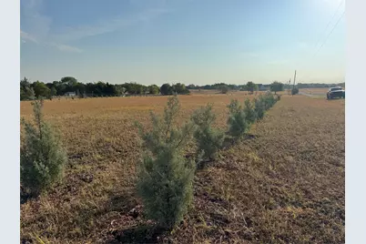 115 County Road 4524 Street, Whitewright, TX 75491 - Photo 2