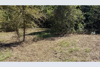 920 County Road 1226, Quitman, TX 75783 - Photo 10