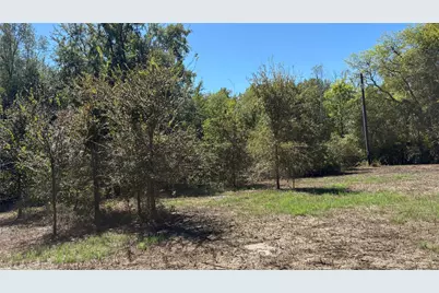 920 County Road 1226, Quitman, TX 75783 - Photo 18