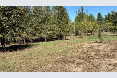 920 County Road 1226, Quitman, TX 75783 - Photo 12