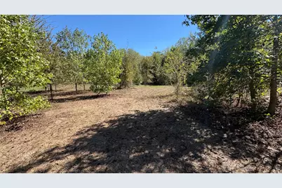 920 County Road 1226, Quitman, TX 75783 - Photo 4