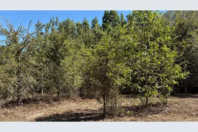 920 County Road 1226, Quitman, TX 75783 - Photo 16