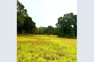 Tbd Tract D Fm 513  Tx, Point, TX 75453 - Photo 4