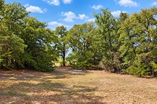 109 Bear Cat Ct, Alvord, TX 76225 - Photo 34